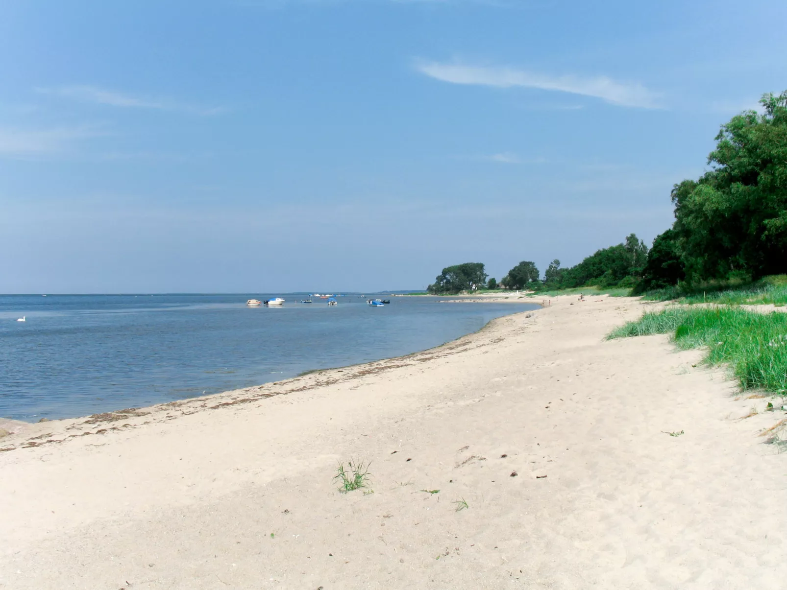 Ferienbungalow Lais - Seite 1-Omgeving