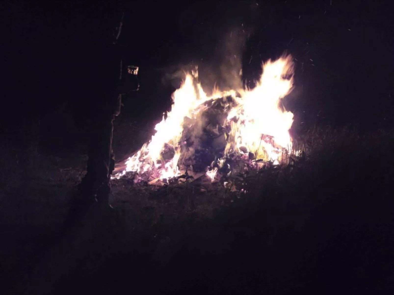 Hof Rodenkrog Fewo 1-Buiten