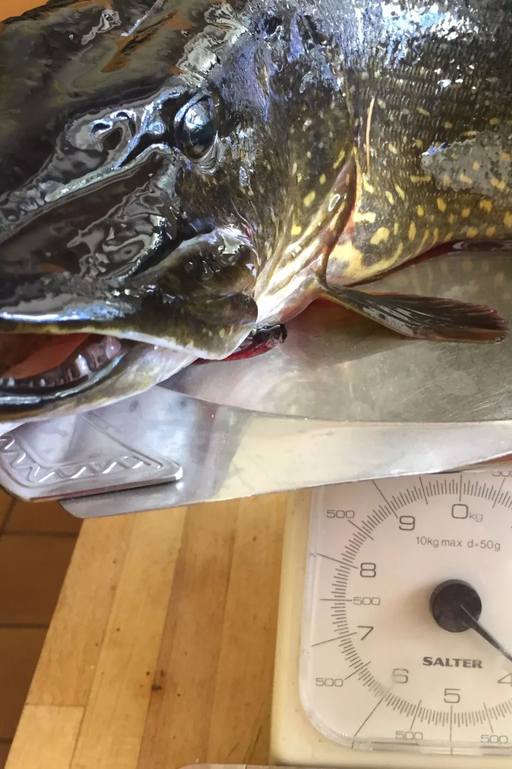 "Évika 3" mit Sauna-Binnen