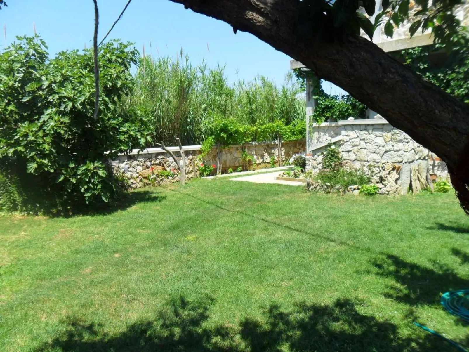 "Delfin prizemlje"-Buiten