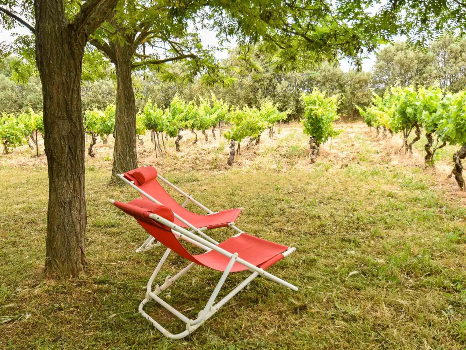 Für 2 Personen und 2 Kinder-Buiten