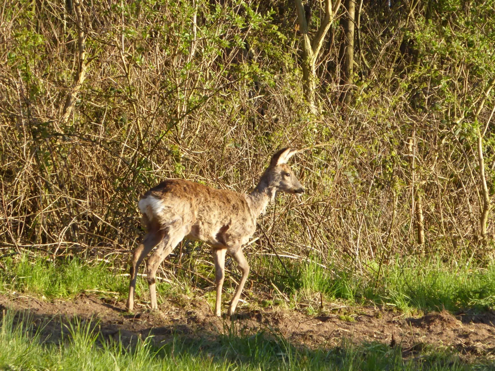Parterre WEST-Buiten