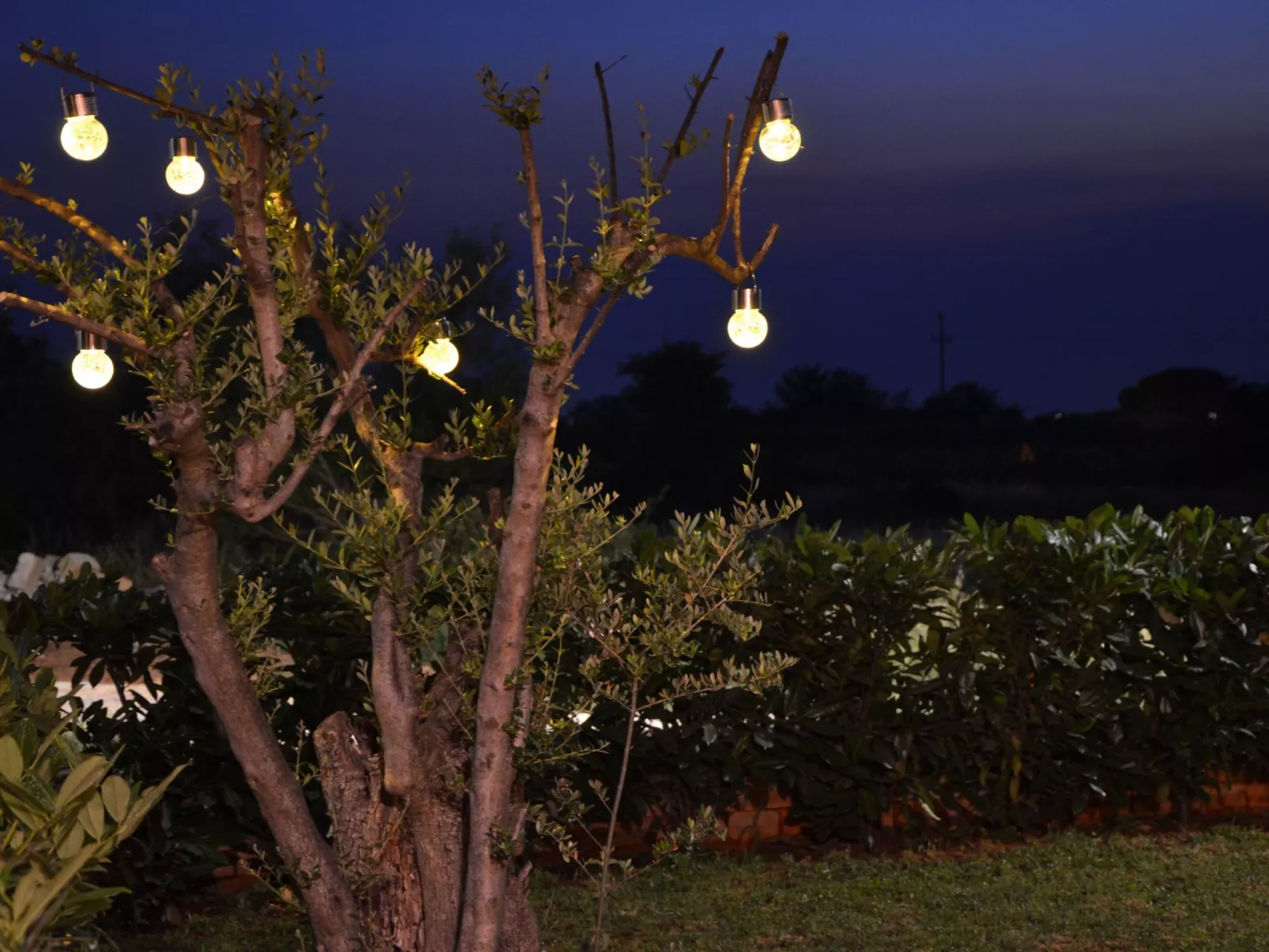 Mit Blick auf das Wasser-Buiten