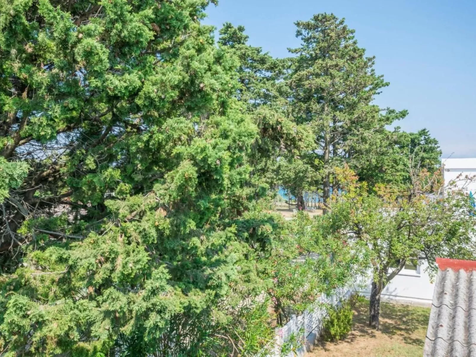 Wohnung "Mira" direkt am Strand-Buiten