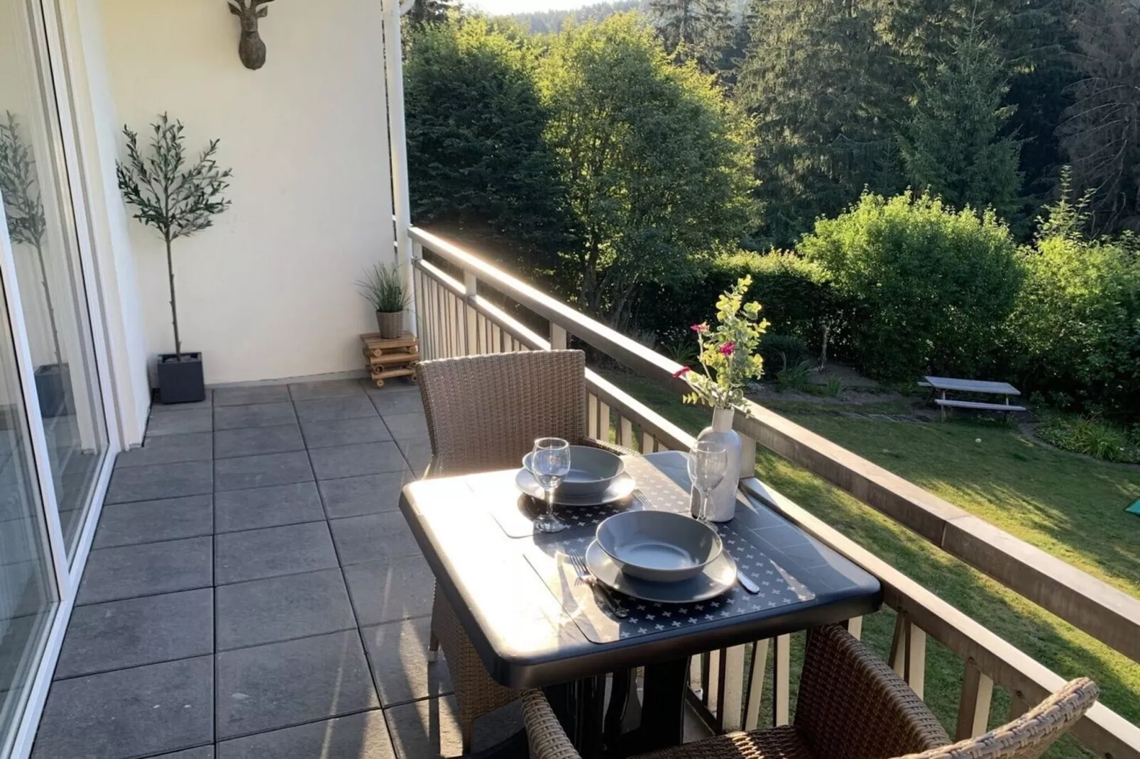 Apartment Rothaarsteig-Terrasbalkon