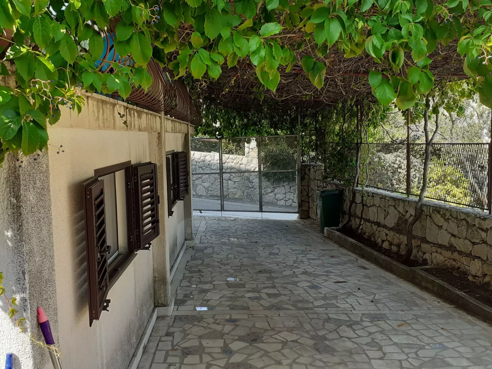 "Mladen" mit Blick auf das Wasser-Buiten