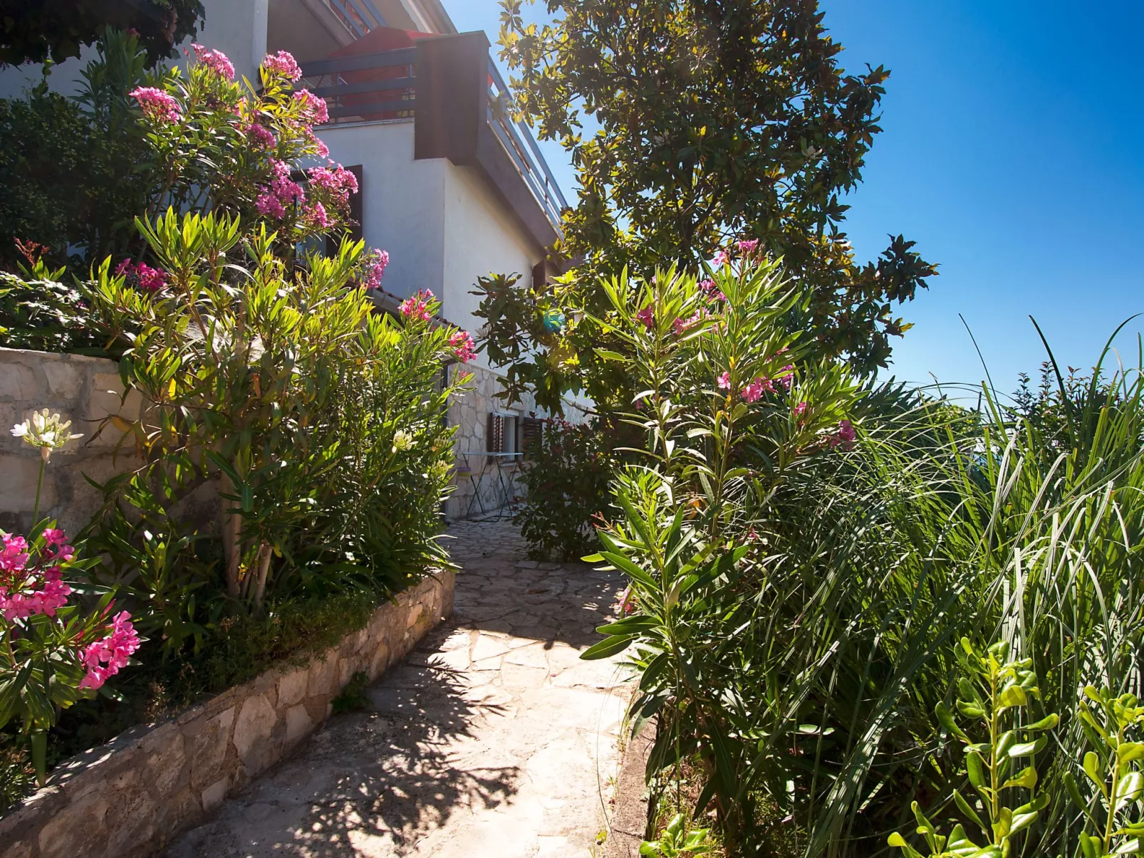 Studio "Oleander " mit Terrasse-Buiten