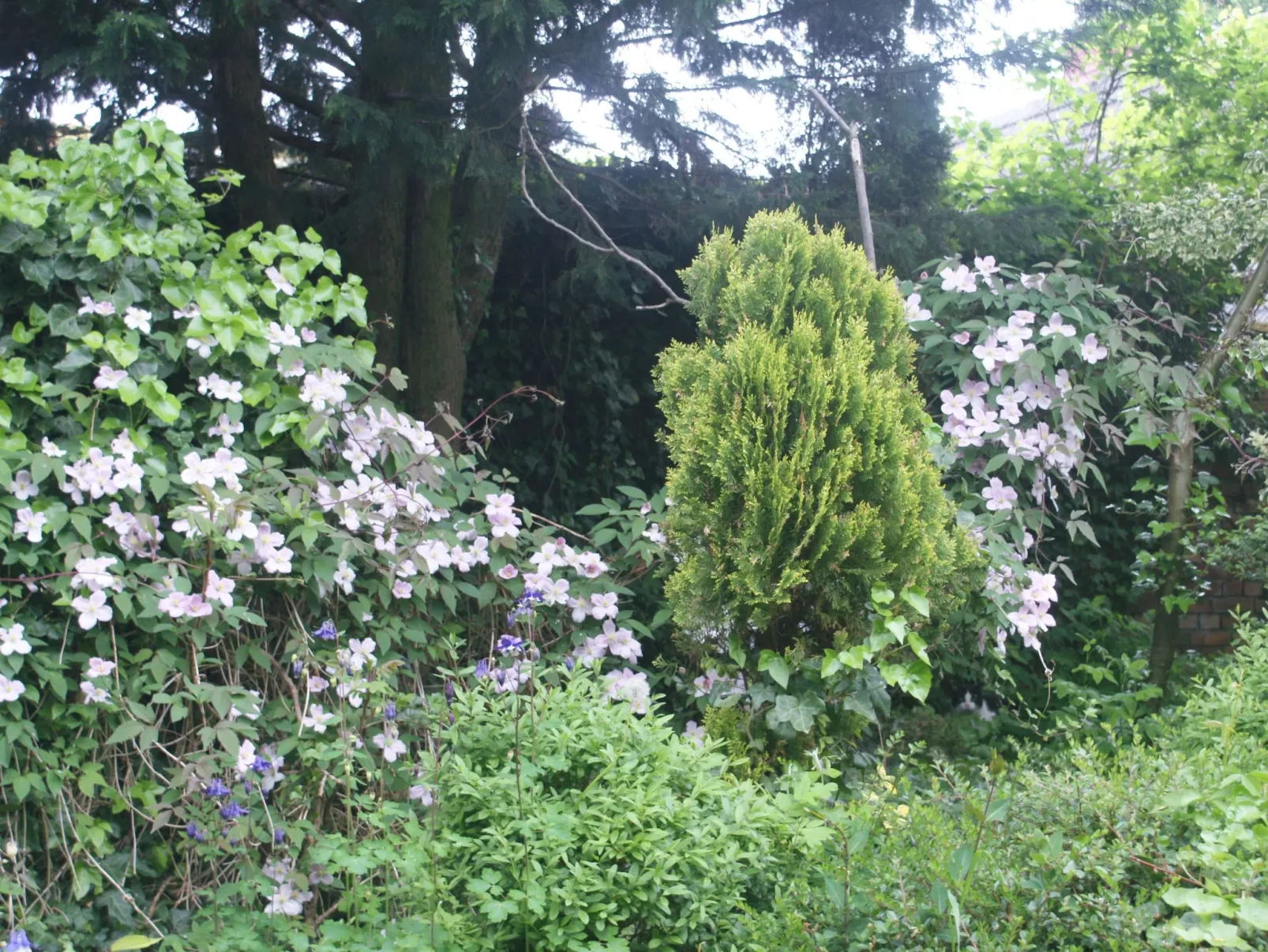 Ruhe am Meer - Ferienhäuser in den Gärten von Magra-Buiten