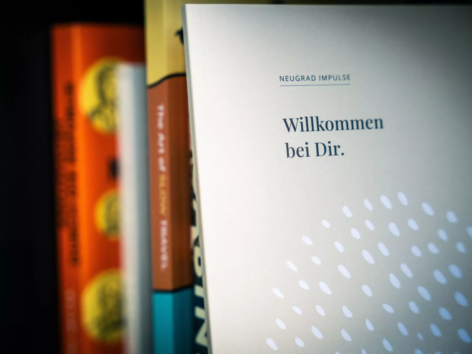 (6)Cabin Style Sauna-Buiten