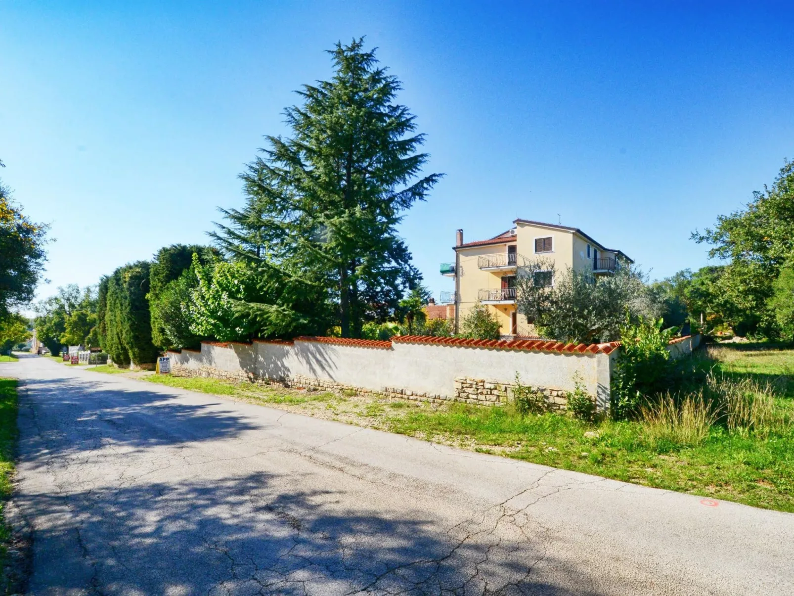 ALBINA STUDIO 5-Image-tags.info