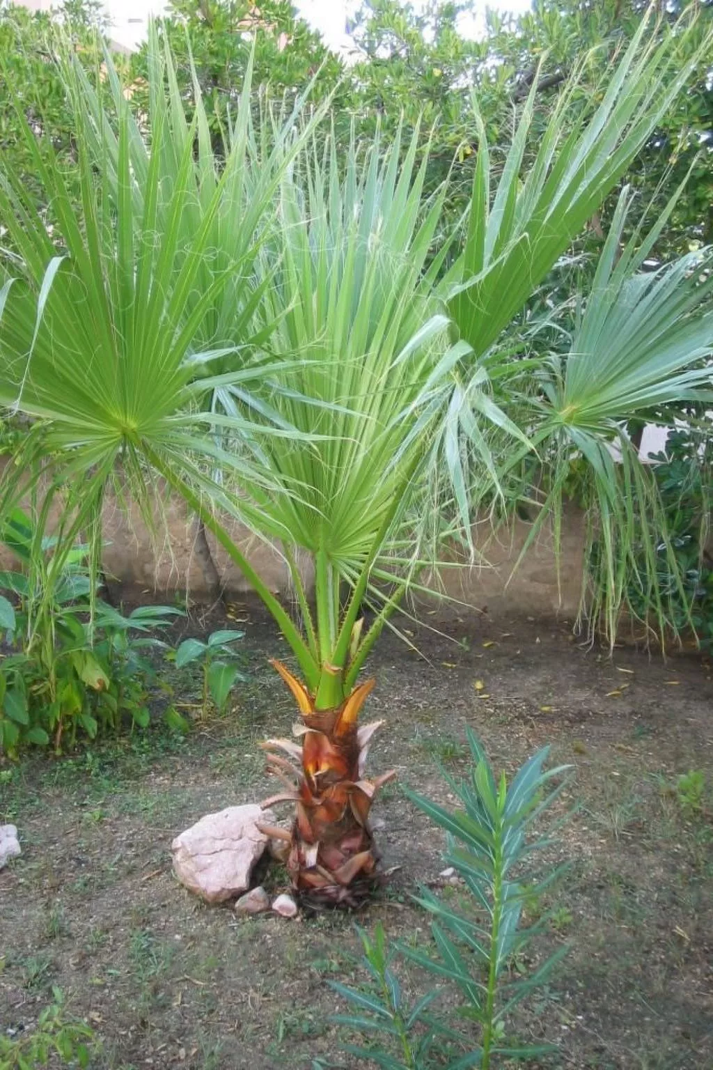 Große Ferienwohnung in Pag mit Privater Terrasse-Buiten
