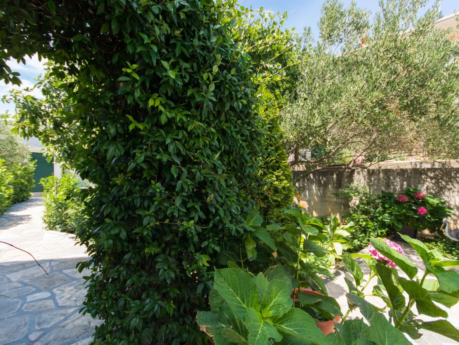 Wohnung "Lorenzo" mit Terrasse-Buiten