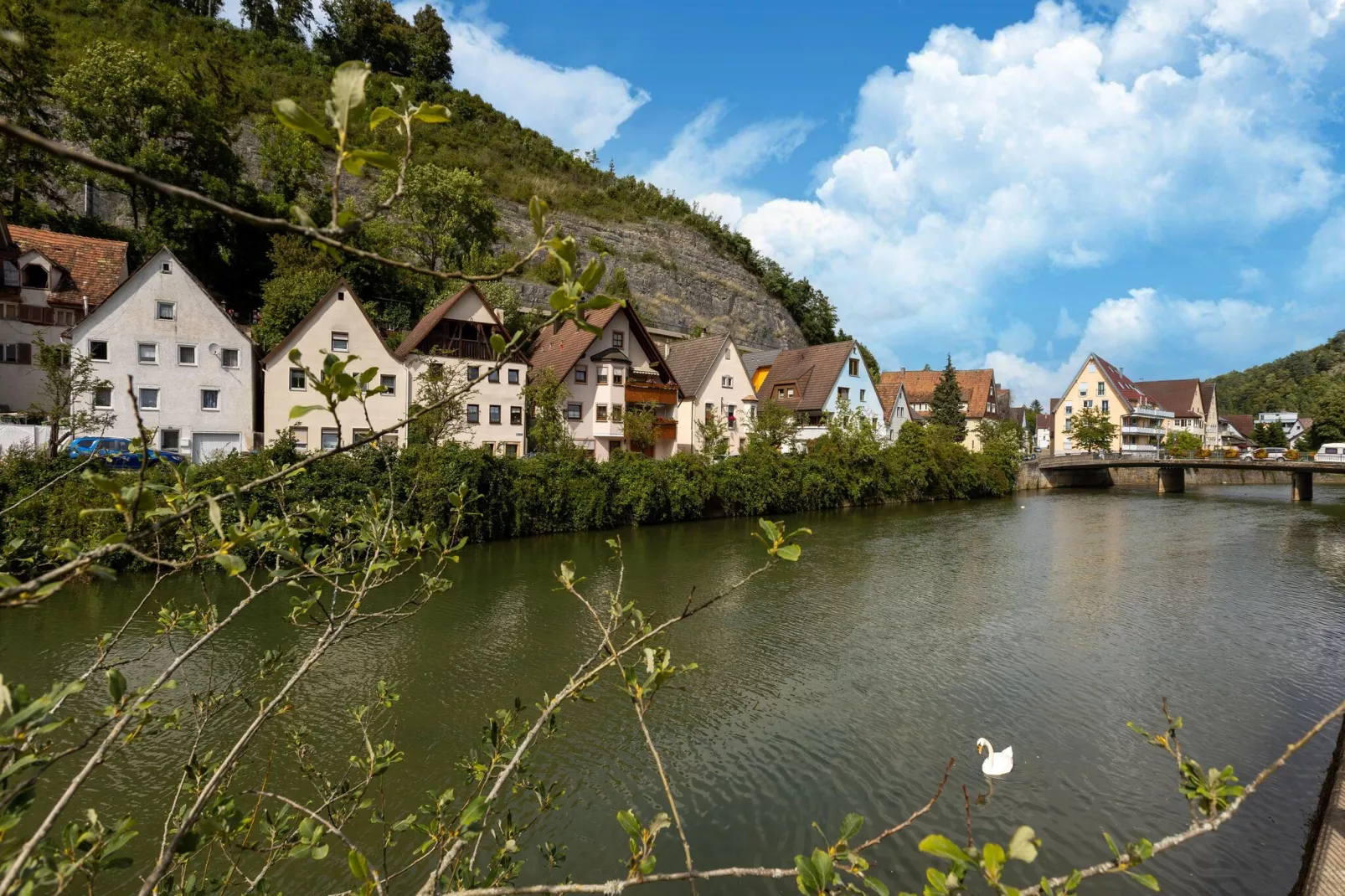 Am Neckar-Uitzicht zomer