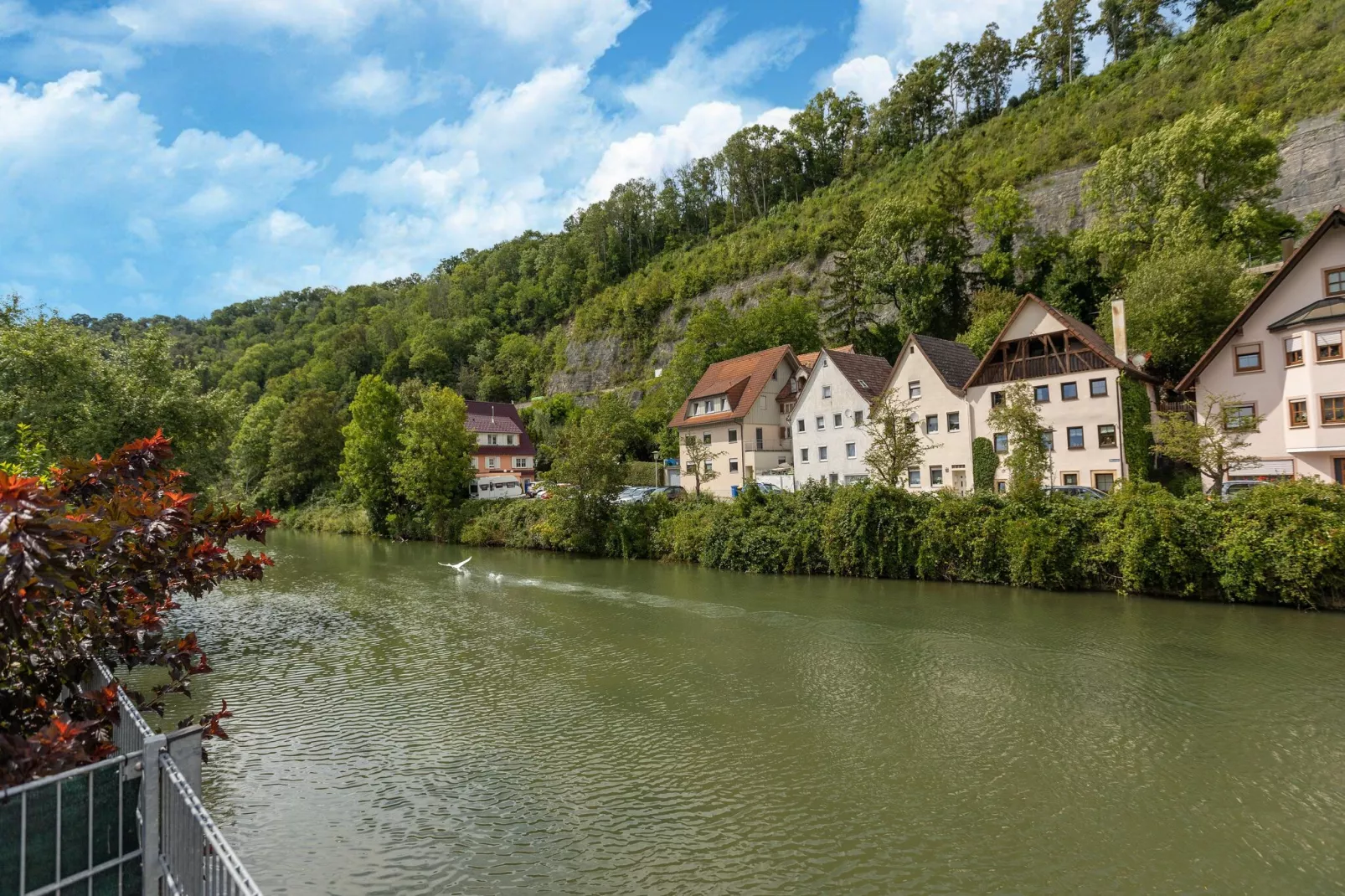 Am Neckar-Gebieden zomer 1km