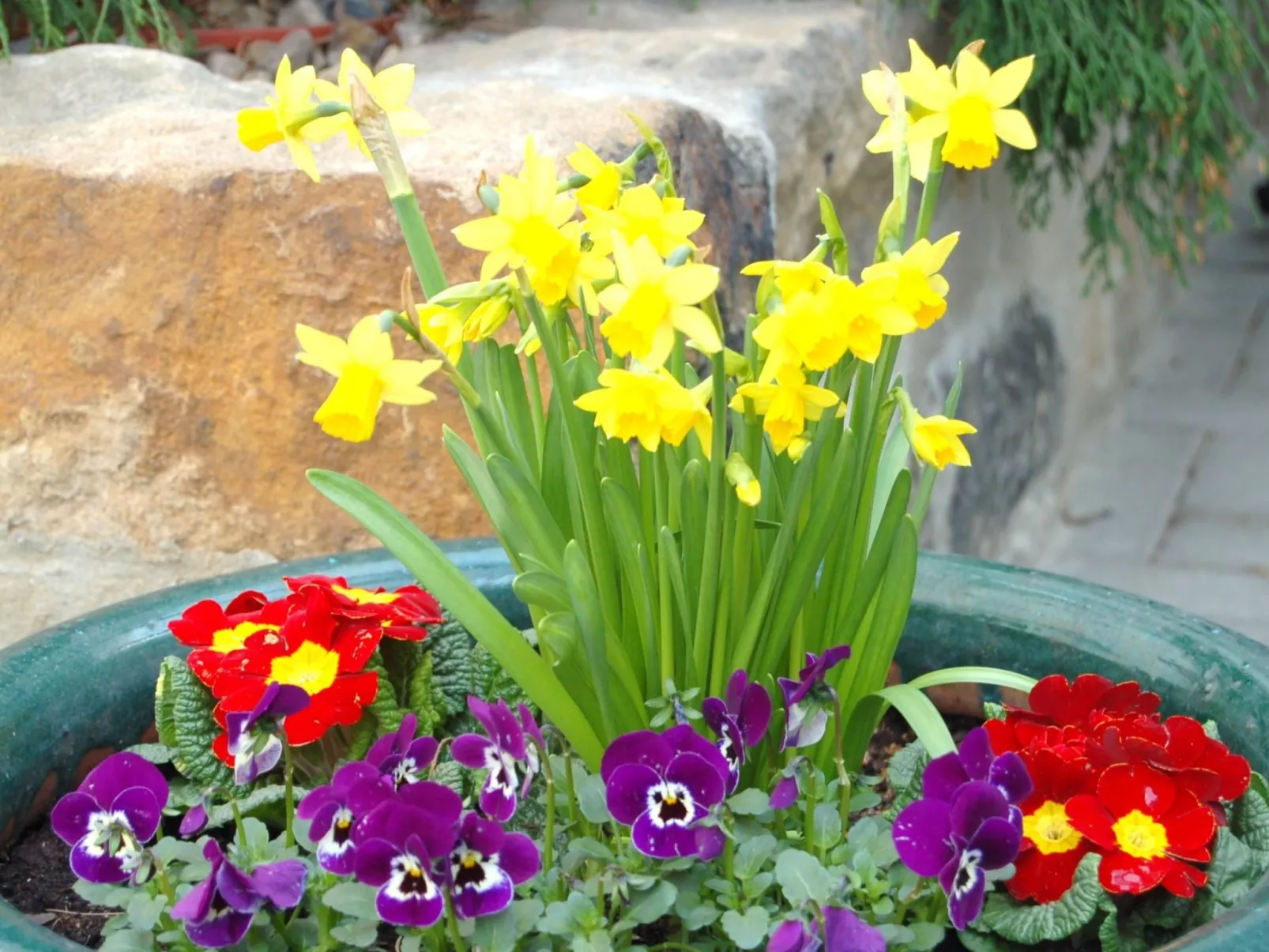 2-Raum-Ferienwohnung-Buiten