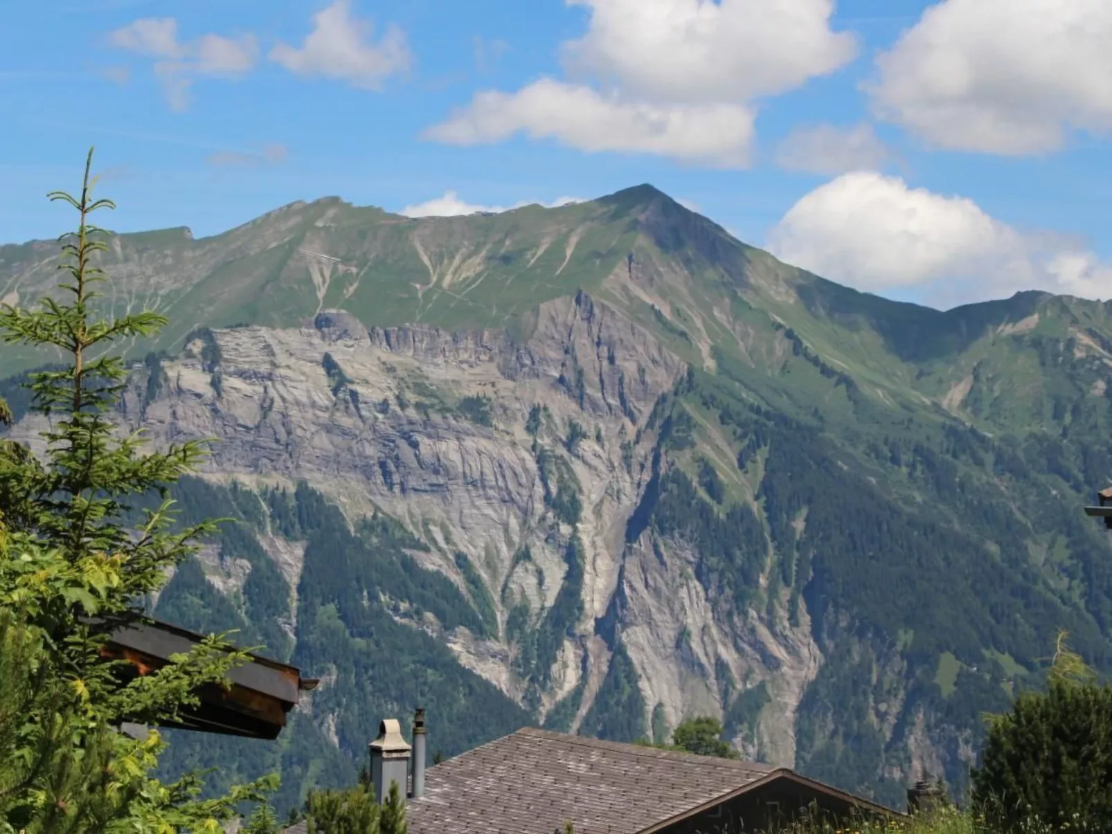 Huusli-Image-tags.info