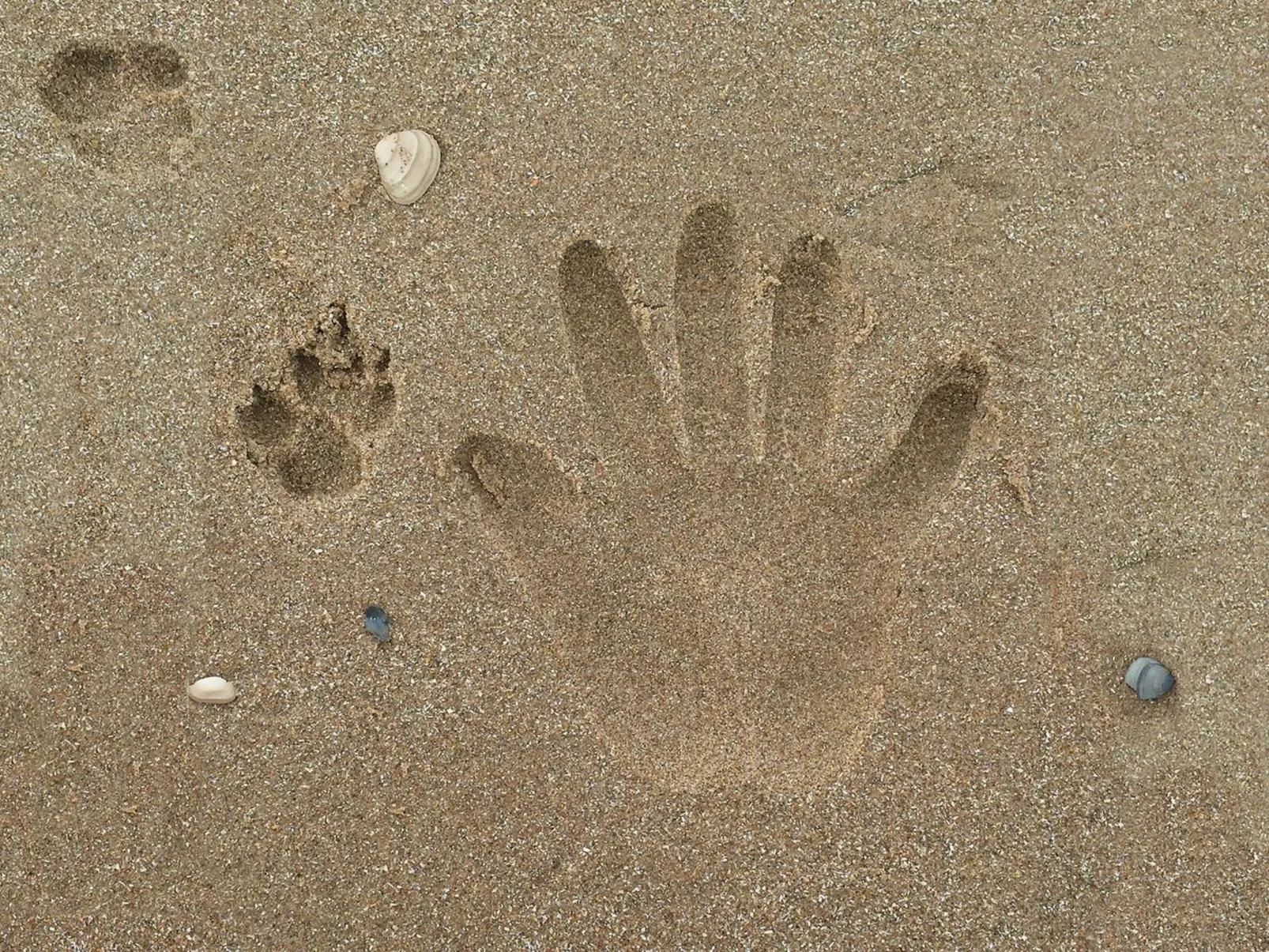 Jazz, Noordwijk aan Zee-Image-tags.info