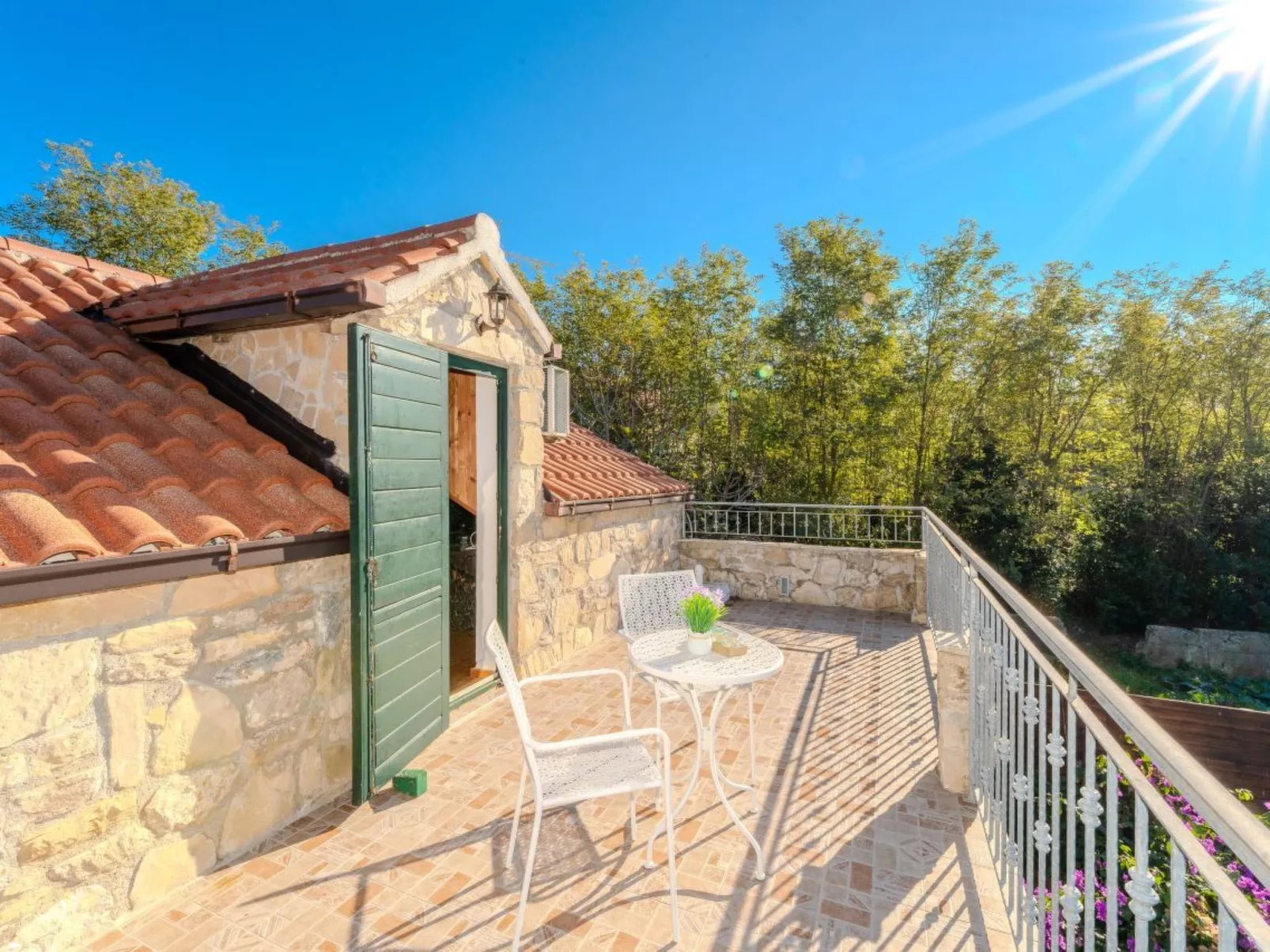 Orhideja - Agentur TA Leut-Buiten