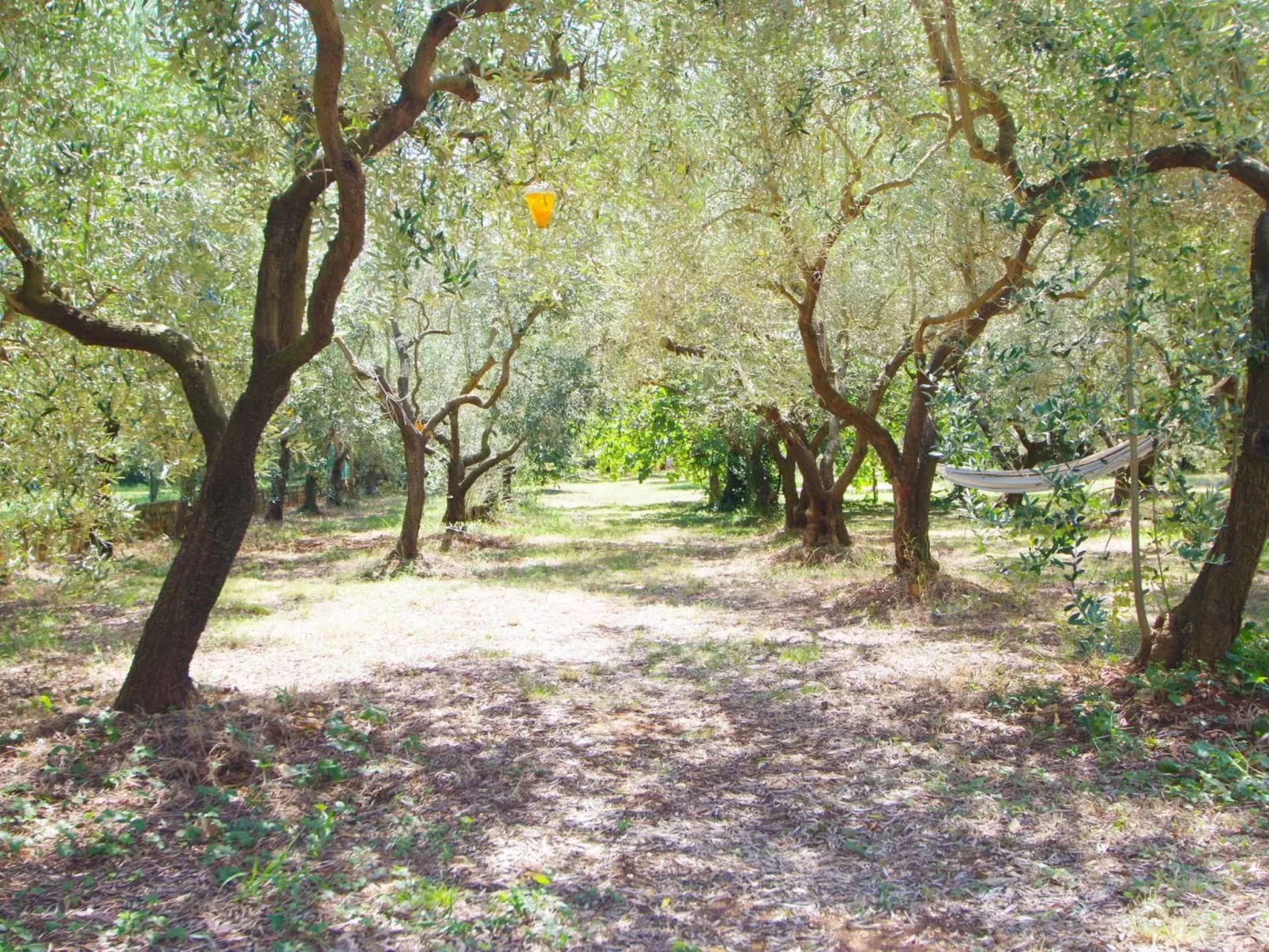 Am Meer "Zara"-Buiten