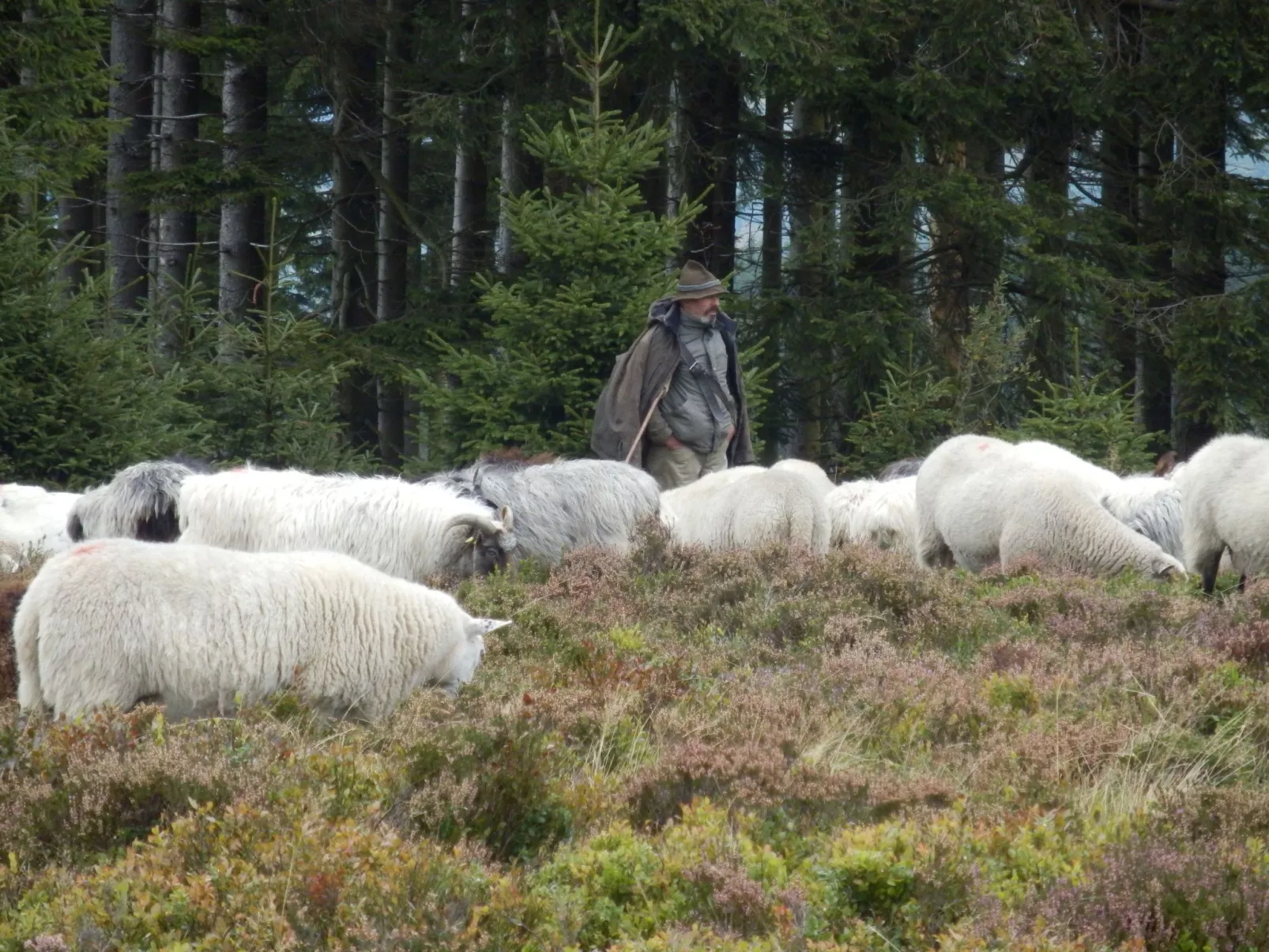Mit privatem Balkon-Buiten