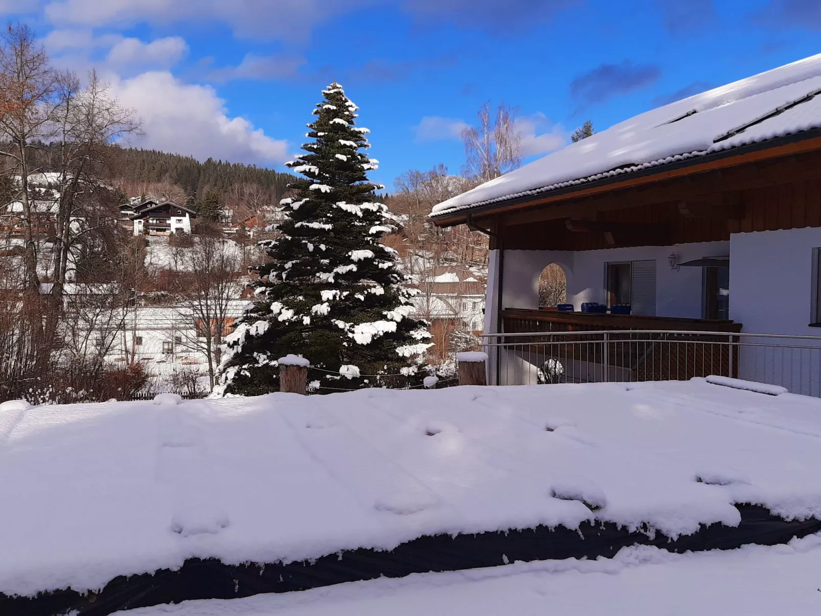 Seitz 2 in Bayerisch Eisenstein-Buiten