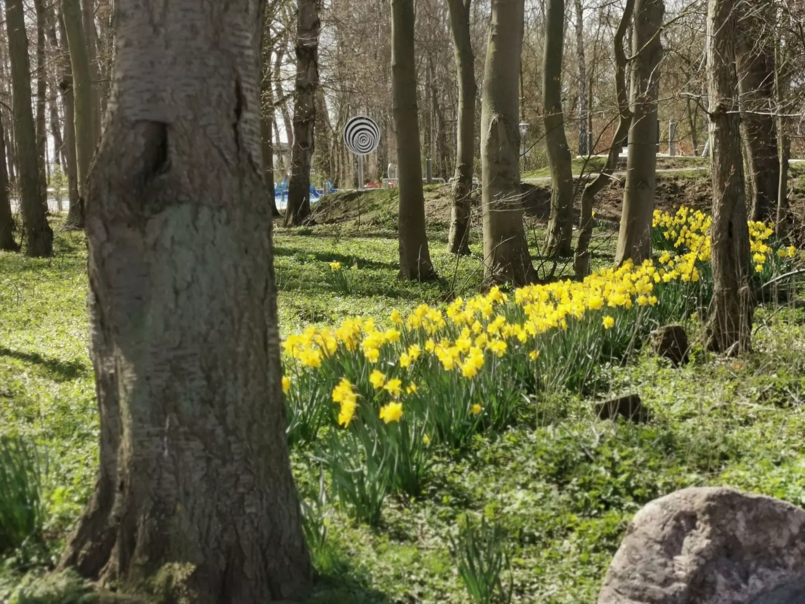 Erdgeschosswohnung im Haus "Silva Mare"-Buiten