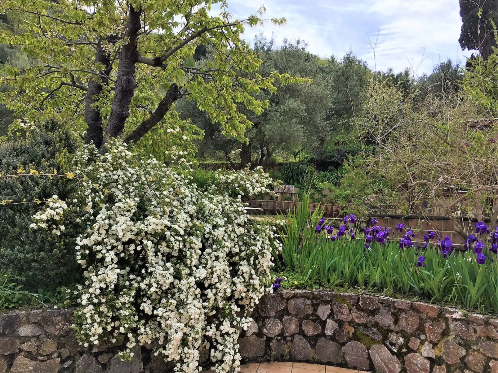 Orange Wohnung-Image-tags.info