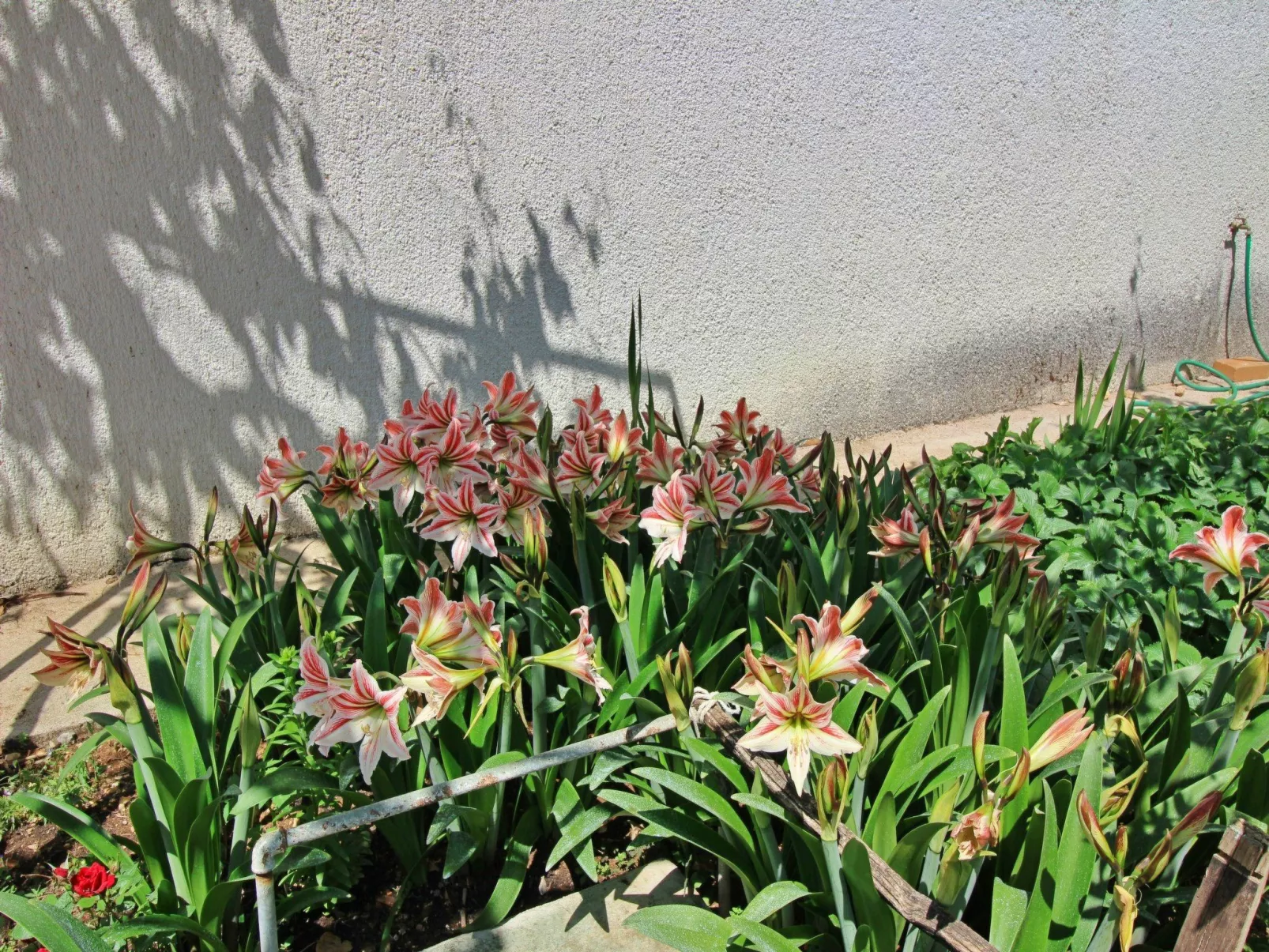 Apartment Dragica-Buiten