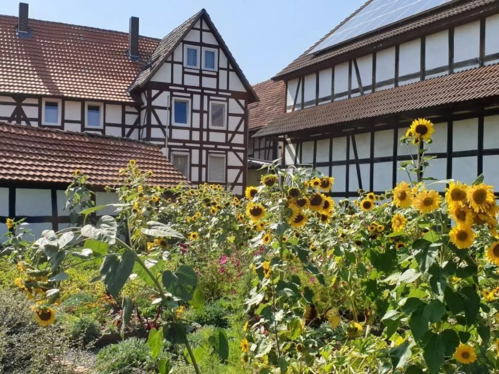 Waldhaus57 Silbersee-Buiten