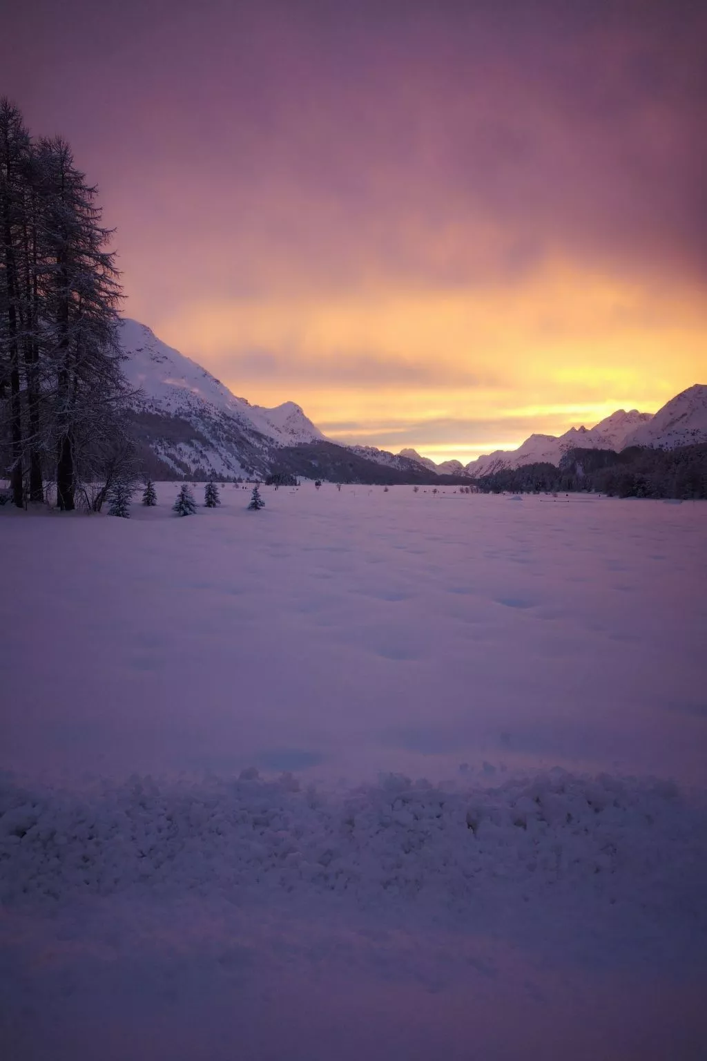 Studio Chesa Marias-Buiten