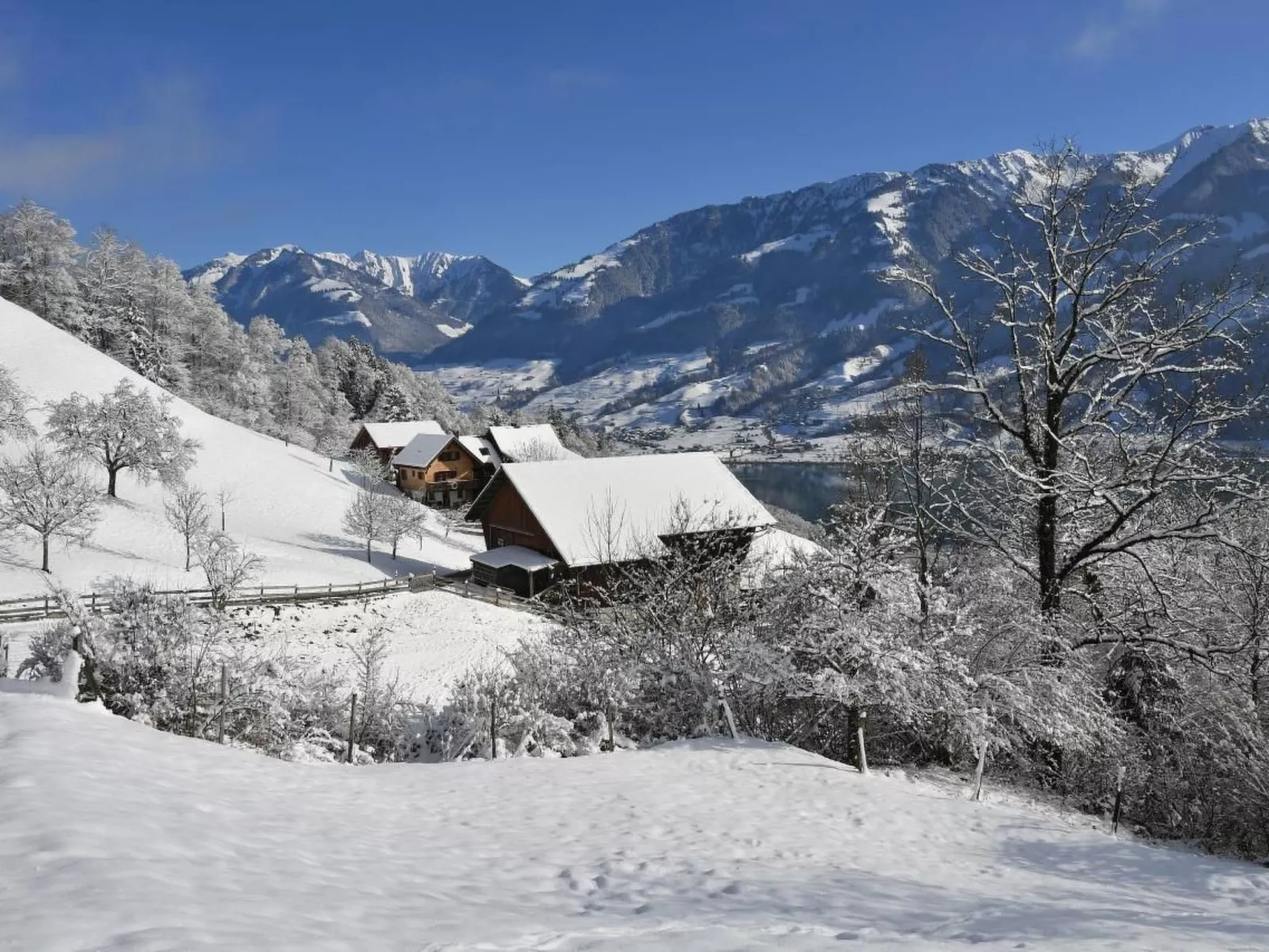 Holzhaus auf Lamahof-Image-tags.info