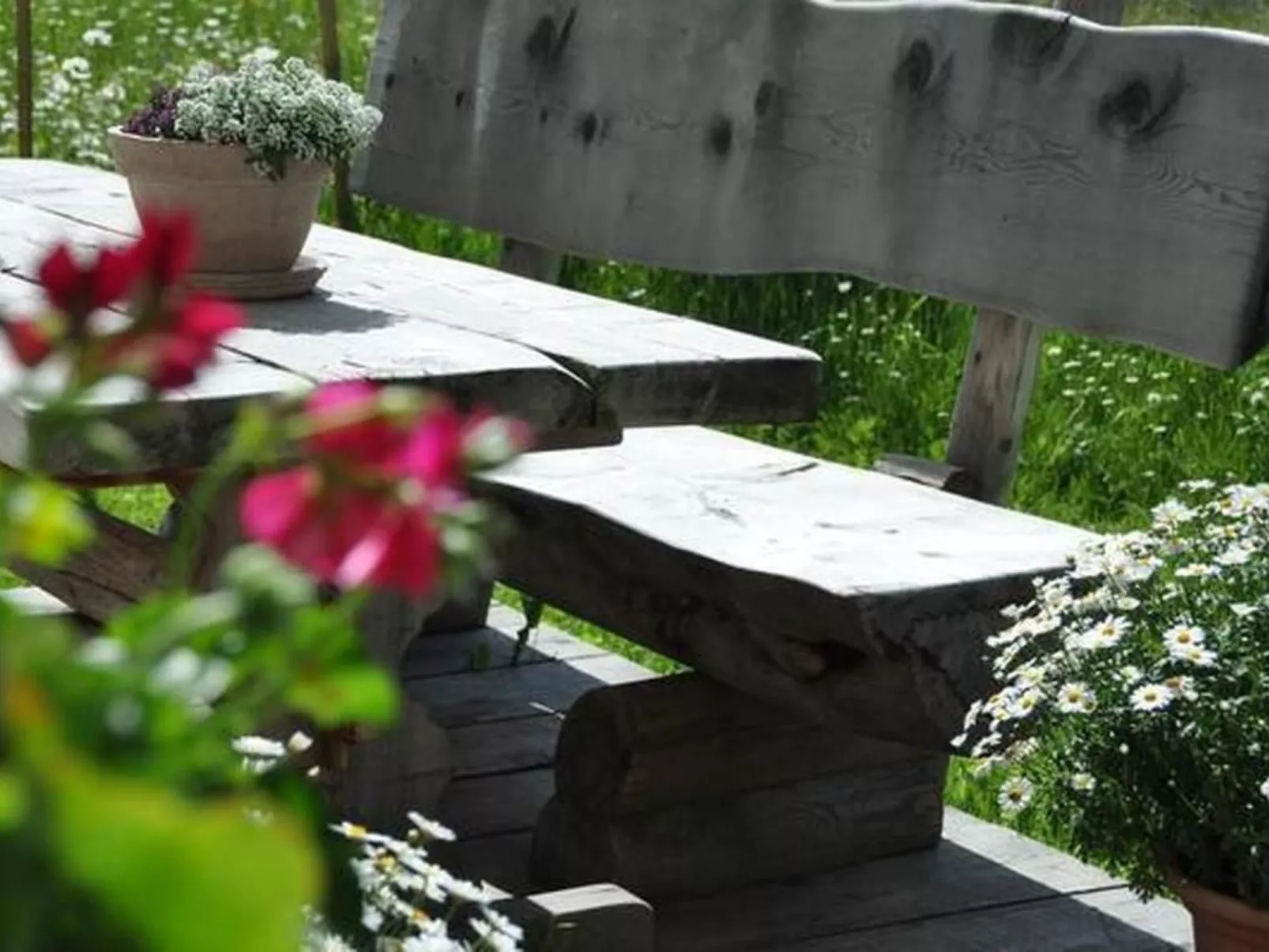 Chesa Sunasain V7-Image-tags.info