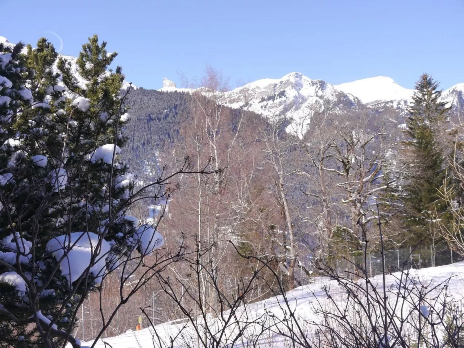 Chalet Birkli-Buiten