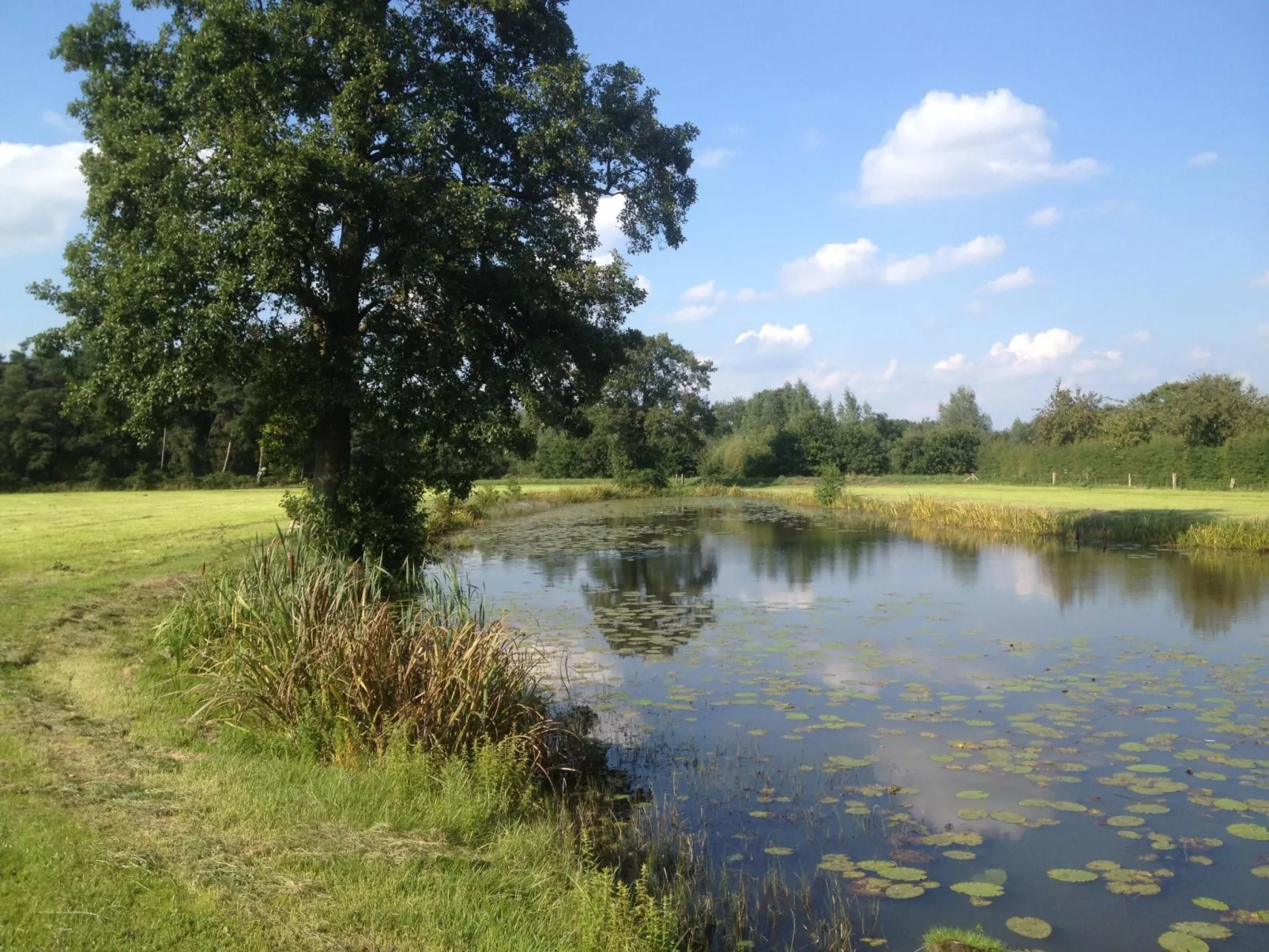 Fachwerkhaus "Das Reggestee" auf dem Bauernhof-Buiten