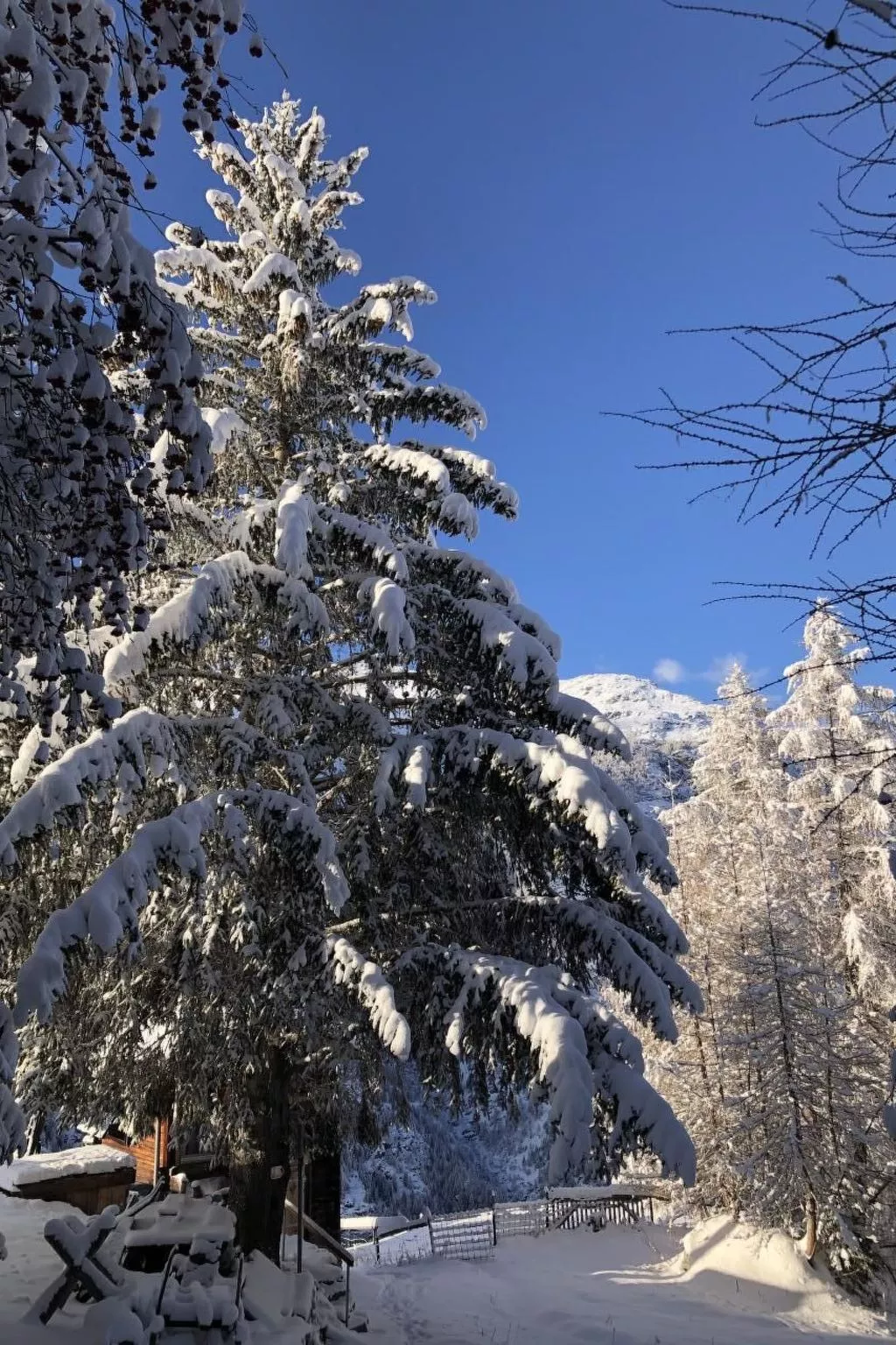 Helena-Image-tags.info