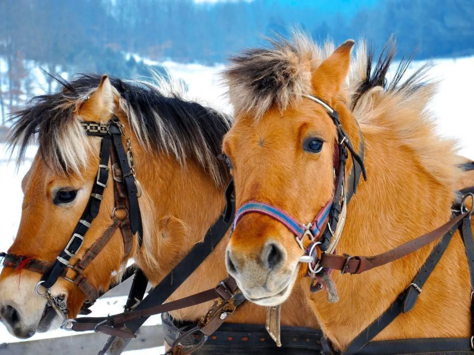 Mit Wasserblick-Image-tags.info