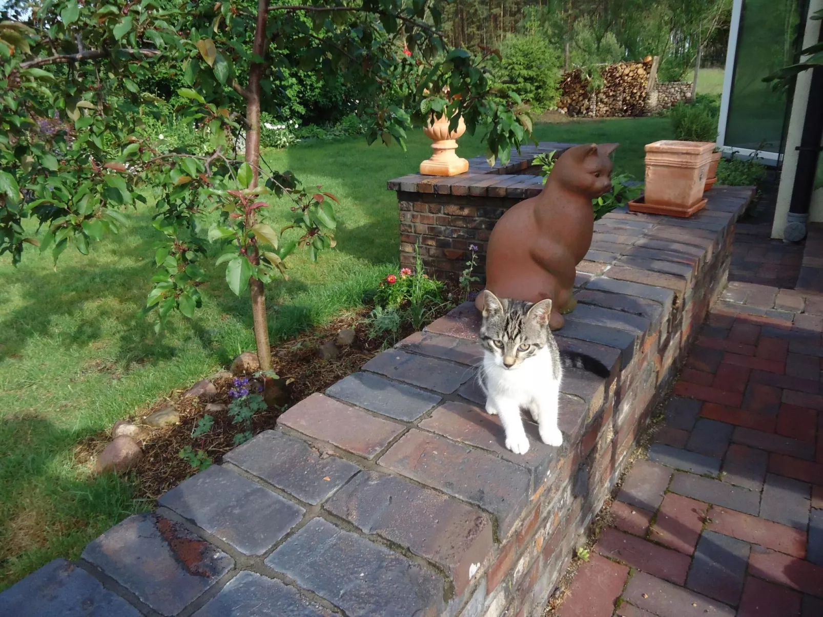 In ruhiger Lage am Waldrand-Buiten