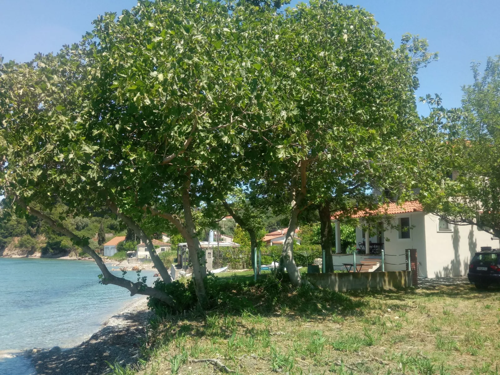 Simos in Paleokastro-Buiten