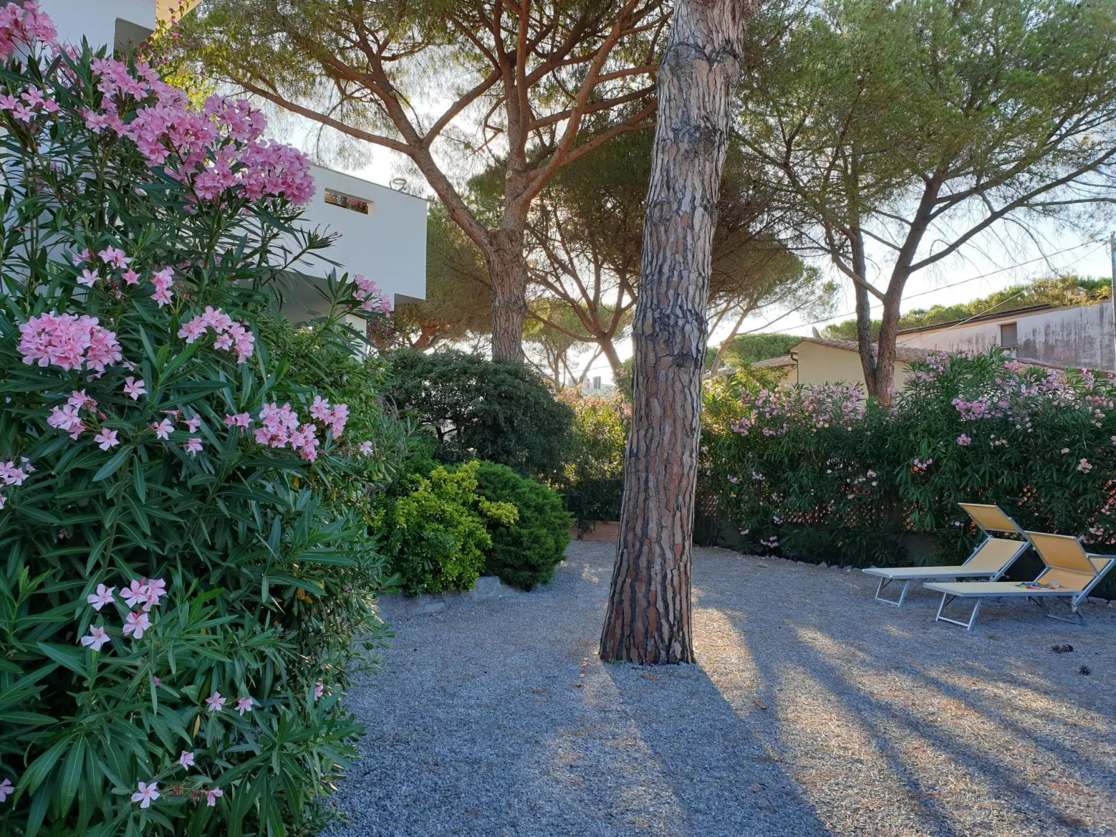 Direkt am Wasser-Image-tags.info