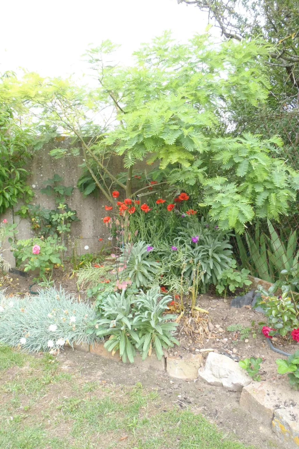 Haus Havre in Portbail-Buiten