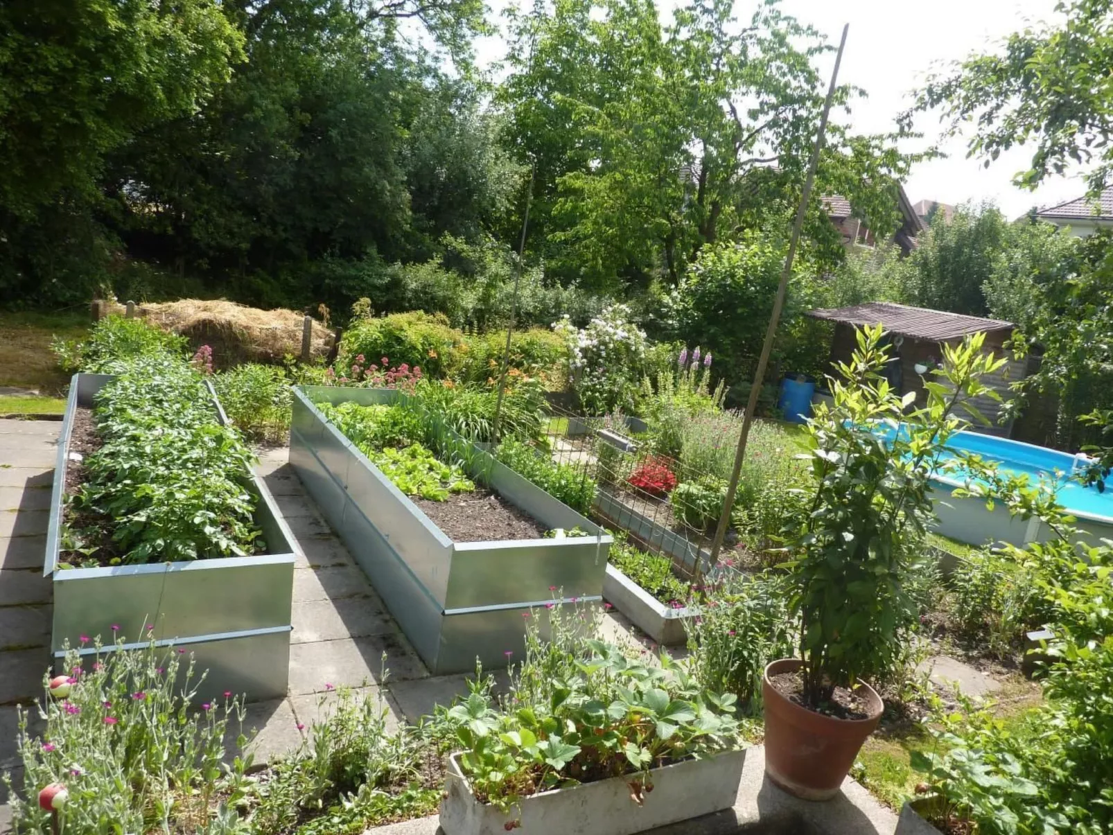 In Hasle-Rüegsau-Buiten