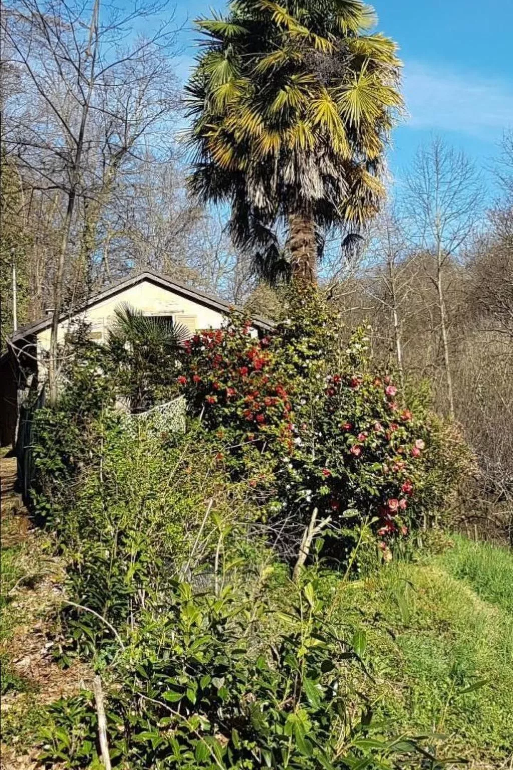 Casa Geissenstall-Buiten