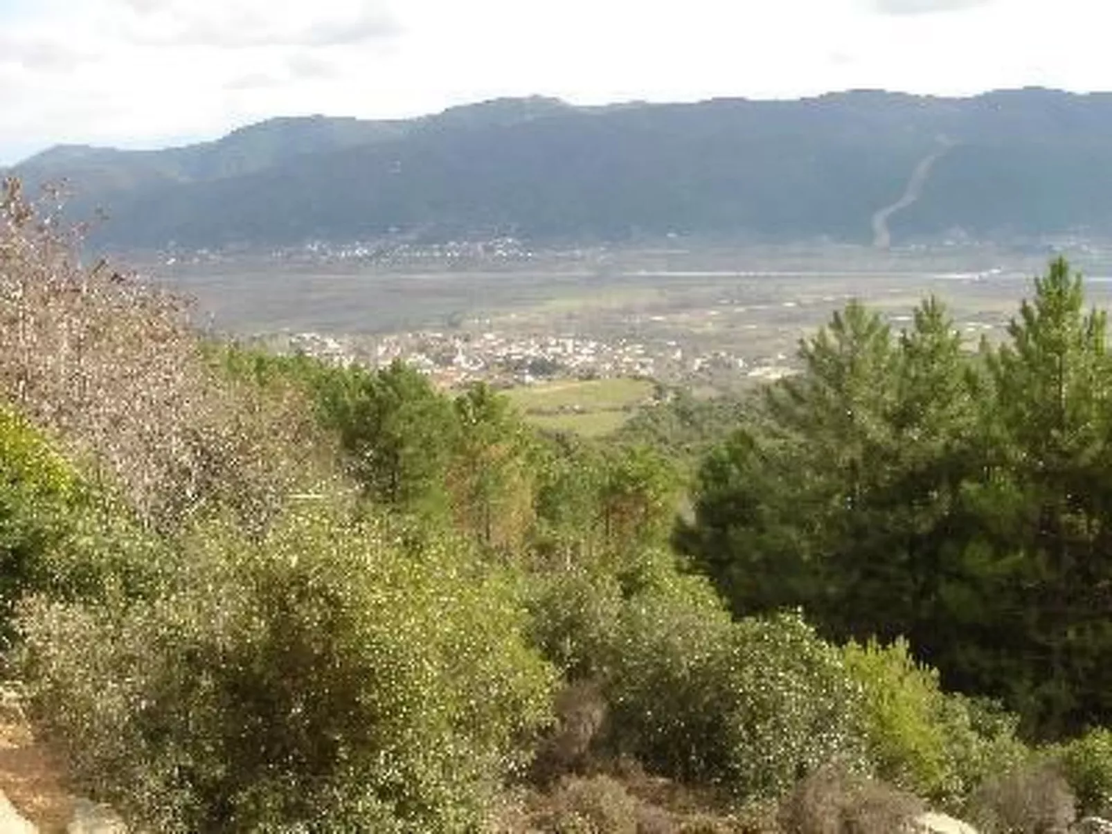 Villa Domatia-Image-tags.info