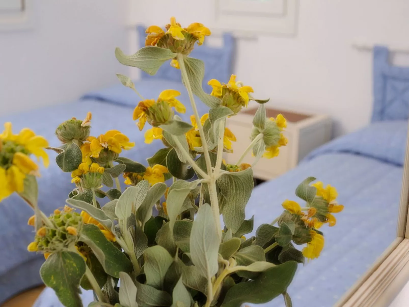 Villa mit Blick auf das Wasser-Image-tags.info