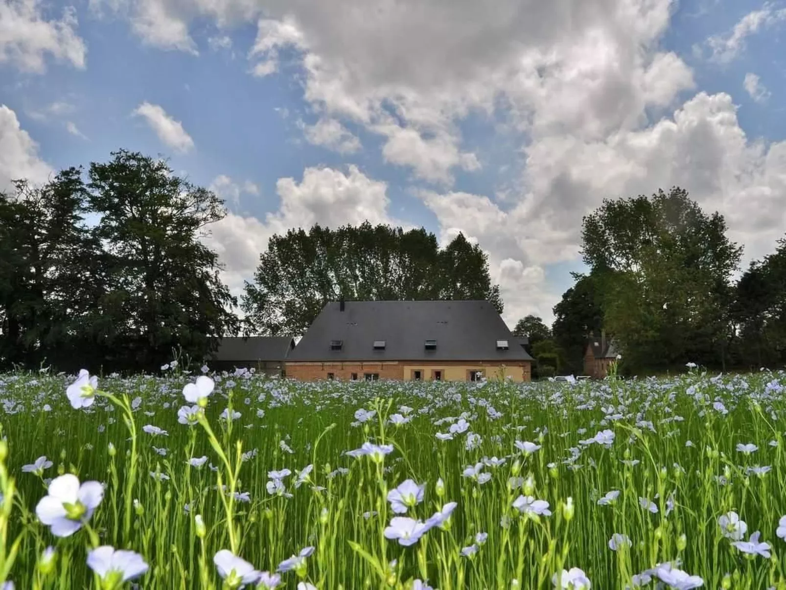 Für acht Personen-Image-tags.info