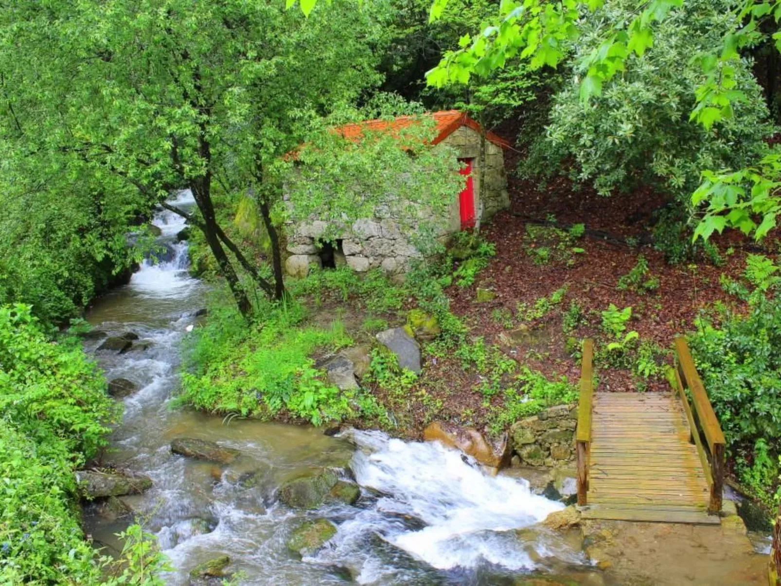 Ländliche Finca "Casa da Rocha"-Buiten