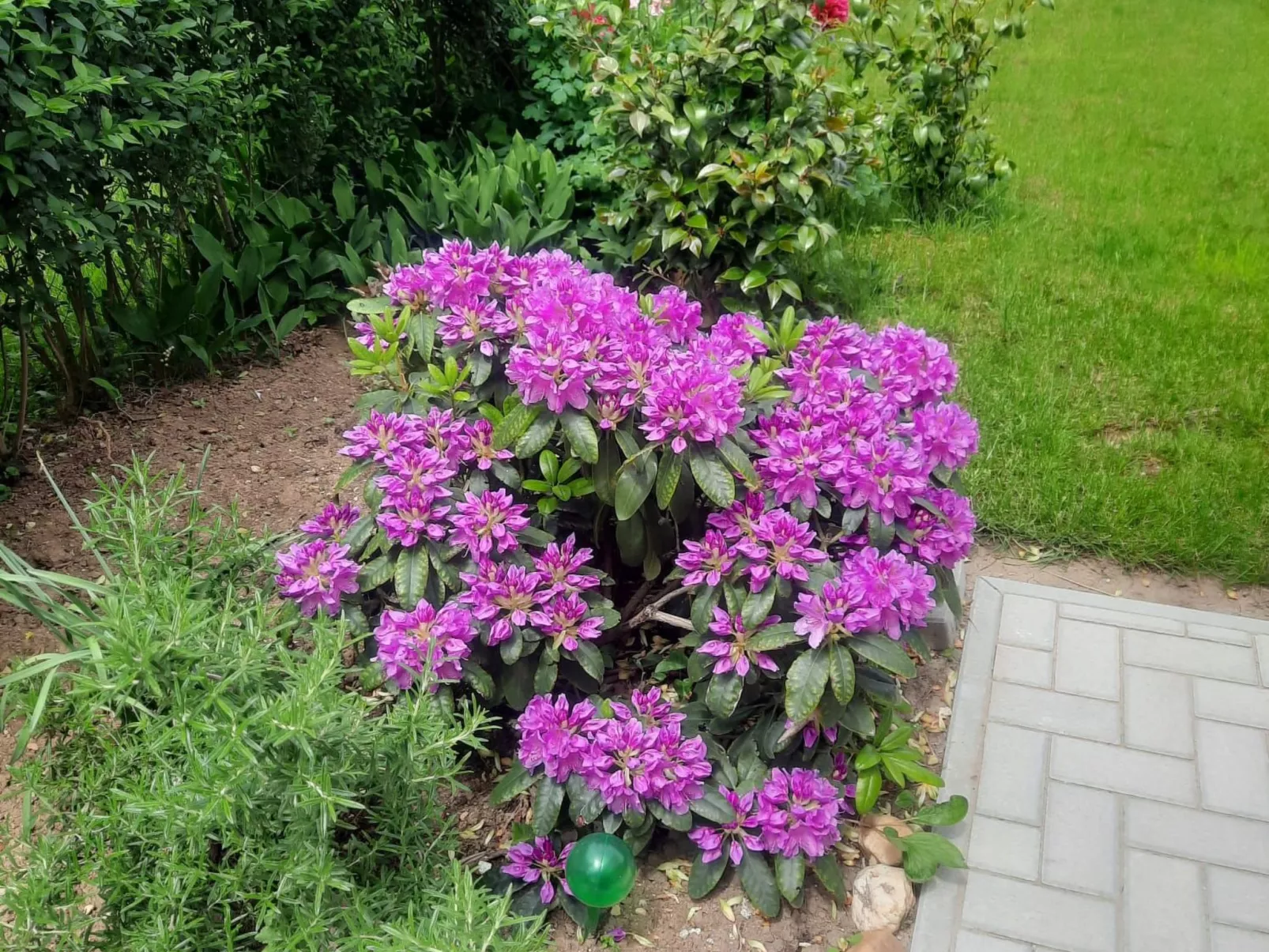 Klimatisiertes Ferienhaus in Bükfürdö mit Garten-Buiten