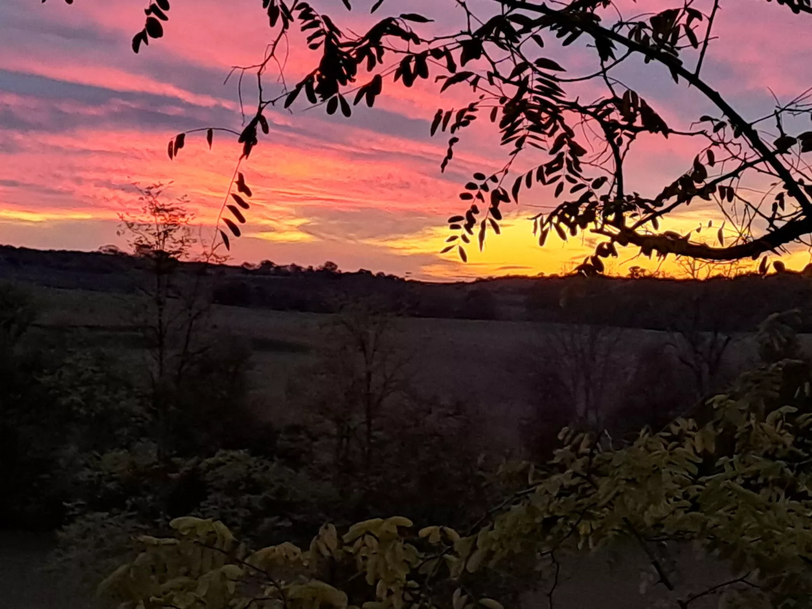 Der Pavillon - im Park des Schlosses Lescaut-Buiten