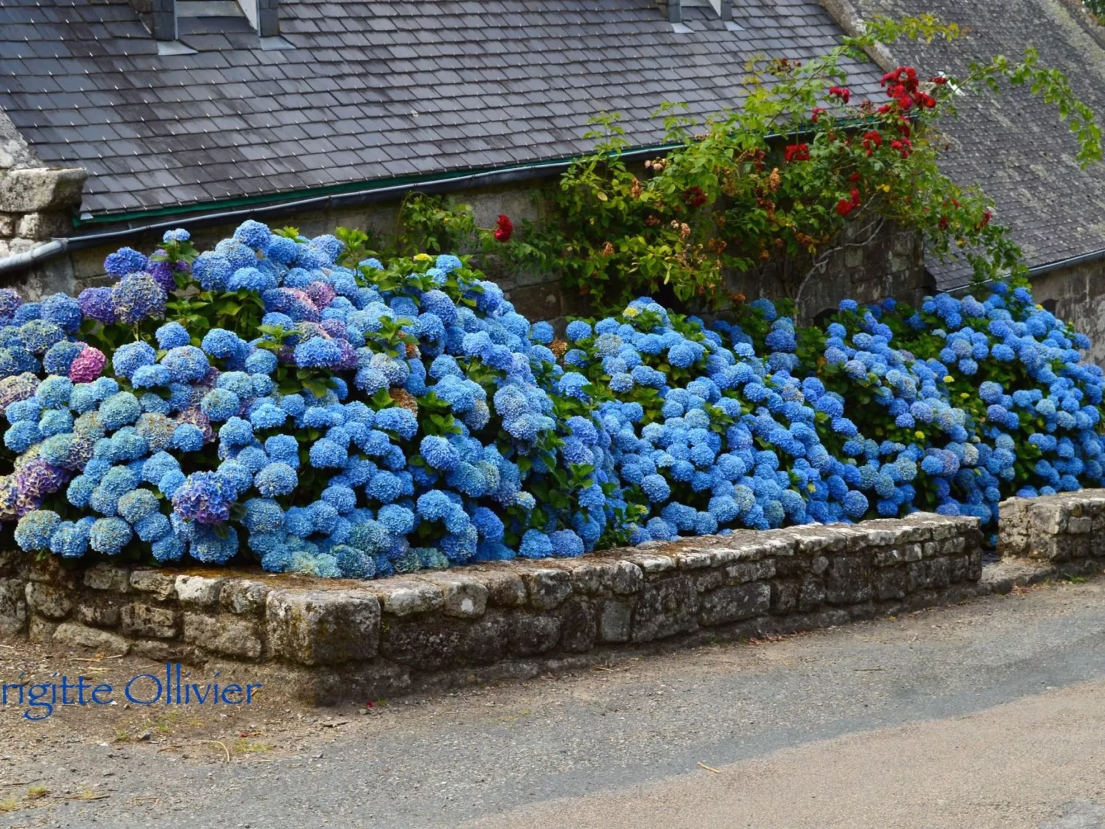 Mit eigenem Garten und Grill-Image-tags.info