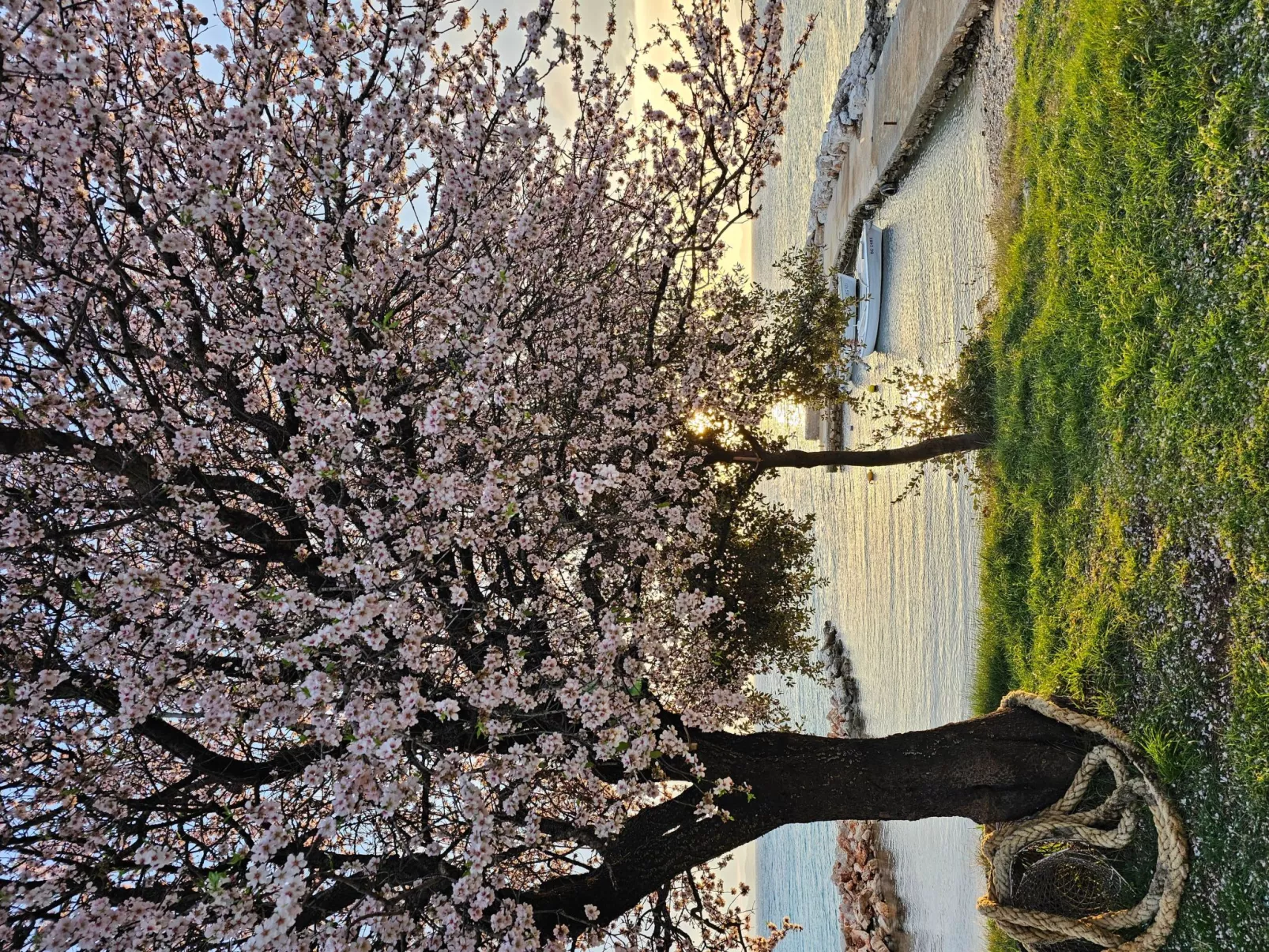 Mimos Robinsonhaus-Buiten